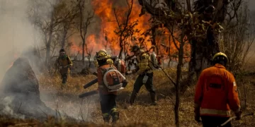 Campo Verde intensifica formação de brigadistas para enfrentar incêndios